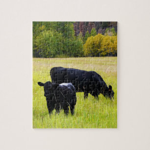 Black Angus Cattle Grazing in Yellow Grass Field Jigsaw Puzzle