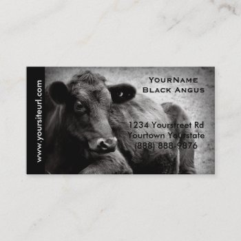 Black Angus Cattle Photo For  Beef Ranch Or Farm Business Card by CountryCorner at Zazzle