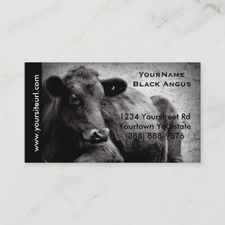 Black Angus Cattle Photo For  Beef Ranch Or Farm Business Card