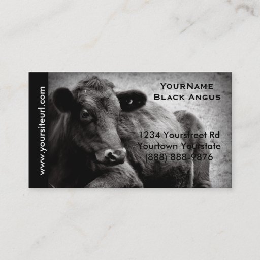 Customizable Black Angus Cattle Photo for Beef Ranch or Farm Business Card Template