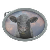Reisbureau Eerlijkheid tand Black Angus Cow & Cute Calf in Summer Pasture Belt Buckle | Zazzle