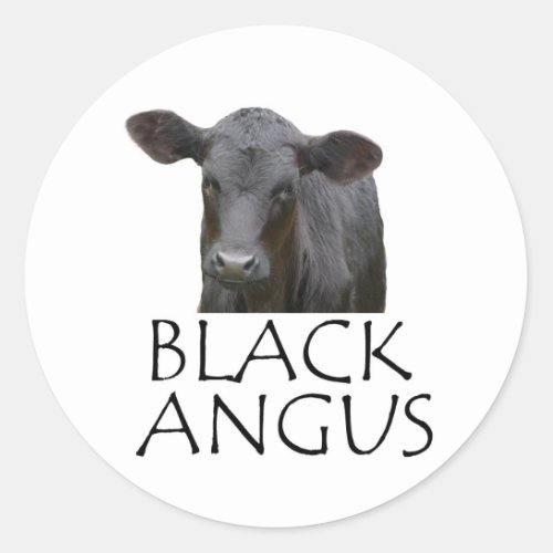 Black Angus Cow Classic Round Sticker