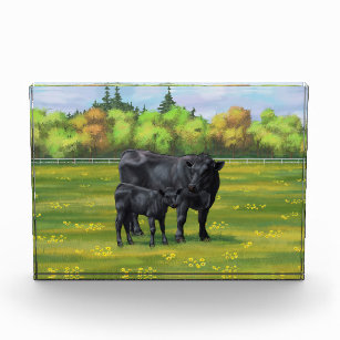 Black Angus Cow & Cute Calf in Summer Pasture Acrylic Award