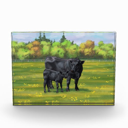 Black Angus Cow  Cute Calf in Summer Pasture Acrylic Award