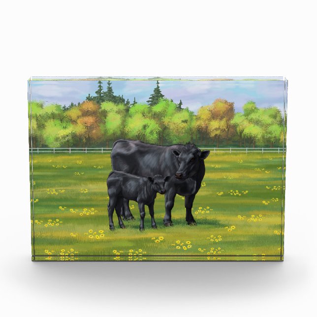 Black Angus Cow & Cute Calf in Summer Pasture Acrylic Award (Front)