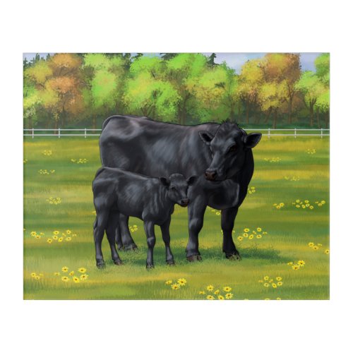 Black Angus Cow  Cute Calf in Summer Pasture Acrylic Print