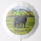 Black Angus Cow & Cute Calf in Summer Pasture