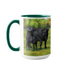 Black Angus Cow & Cute Calf in Summer Pasture