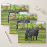 Black Angus Cow & Cute Calf in Summer Pasture