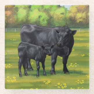 Black Angus Cow & Cute Calf in Summer Pasture Glass Coaster