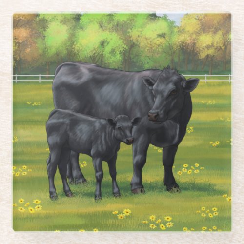 Black Angus Cow  Cute Calf in Summer Pasture Glass Coaster