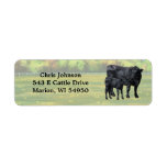 Black Angus Cow &amp; Cute Calf in Summer Pasture Label