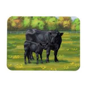Black Angus Cow & Cute Calf in Summer Pasture Magnet