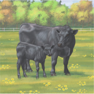 Black Angus Cow & Cute Calf in Summer Pasture Sticker