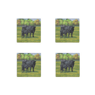 Black Angus Cow & Cute Calf in Summer Pasture Stone Magnet