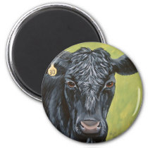Black Angus Cow Magnet