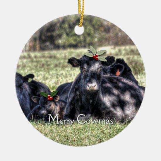 Black Angus Cows Christmas Ornaments