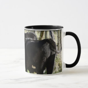 Black Angus Heifer Calves Mug