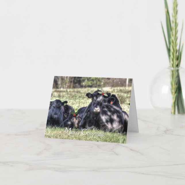 Black Angus Holly Merry Cowmas Greetings Holiday Card (Front)