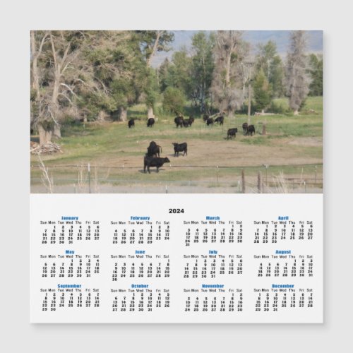 Black Angus in the Pasture 2024 Calendar Card