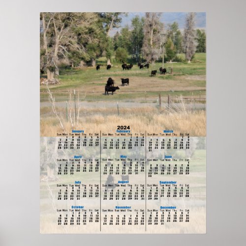 Black Angus in the Pasture 2024 Calendar Poster