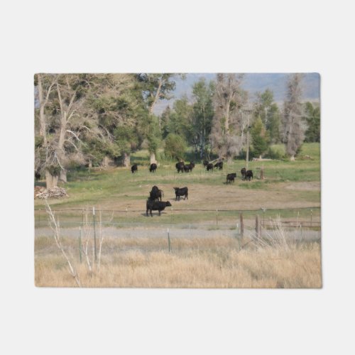 Black Angus in the Pasture Doormat