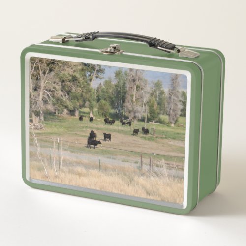 Black Angus in the Pasture Metal Lunch Box