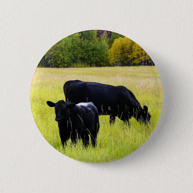 Black Angus Pair in Field Button (Front)