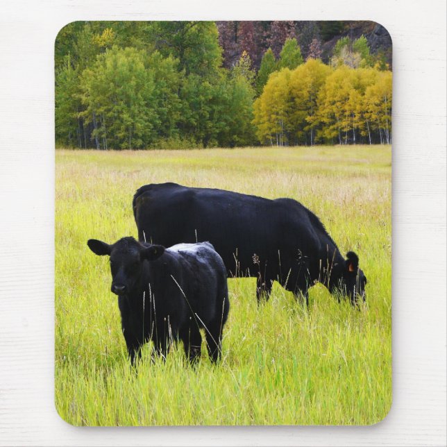 Black Angus Pair in Field Mouse Pad (Front)