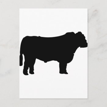 Black Angus Silhouette Postcard by Grandslam_Designs at Zazzle