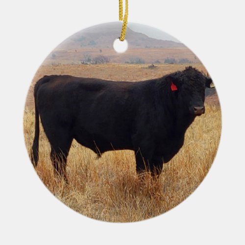 Black Angus Steer Grazing with its Herd Ceramic Ornament