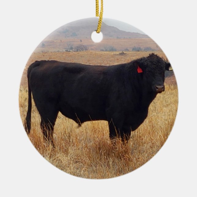Black Angus Steer Grazing with its Herd Ceramic Ornament (Front)