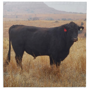 Black Angus Steer Grazing with its Herd Cloth Napkin