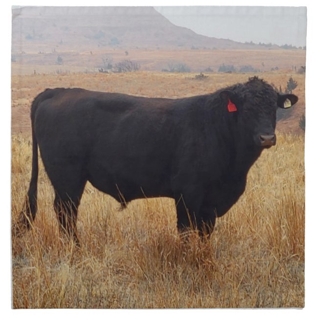 Black Angus Steer Grazing with its Herd Cloth Napkin (Front)