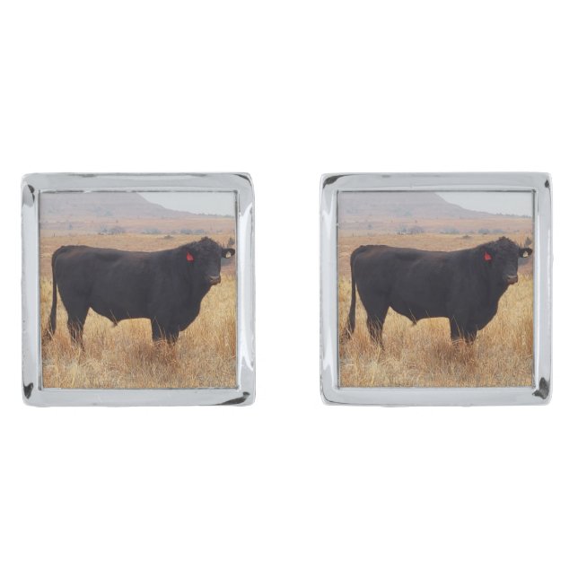 Black Angus Steer Grazing with its Herd Cufflinks (Front)