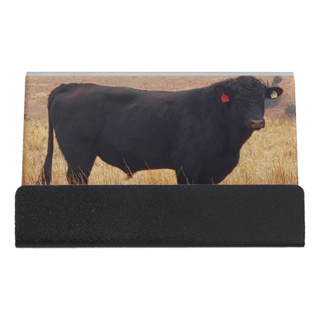 Black Angus Steer Grazing with its Herd Desk Business Card Holder (Front)