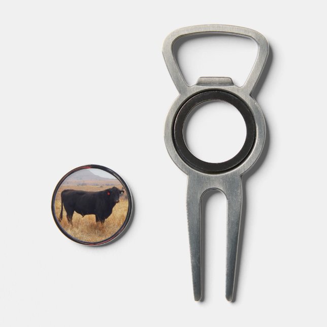Black Angus Steer Grazing with its Herd Divot Tool (Front (Open))