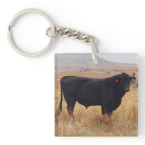 Black Angus Steer Grazing with its Herd Keychain