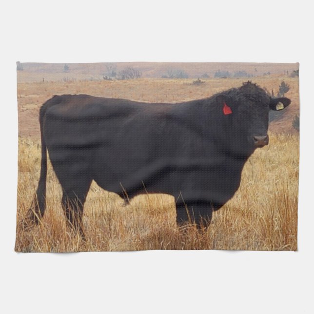 Black Angus Steer Grazing with its Herd Kitchen Towel (Horizontal)