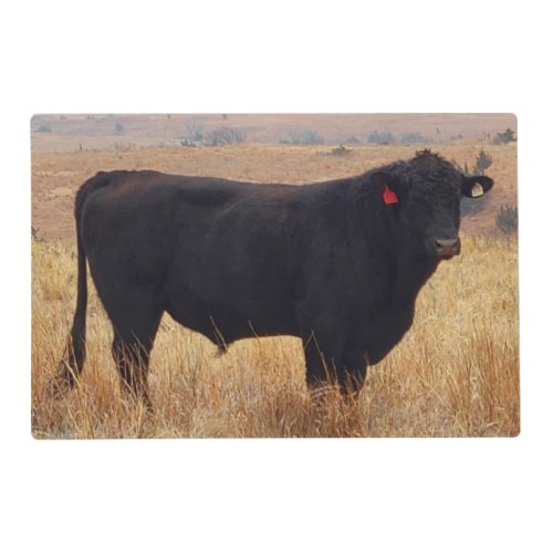 Black Angus Steer Grazing with its Herd Placemat