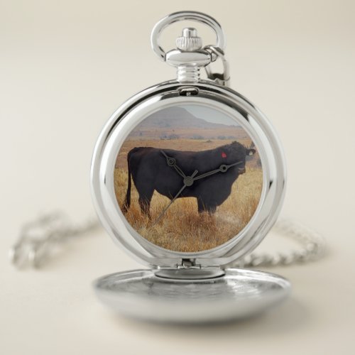 Black Angus Steer Grazing with its Herd Pocket Watch