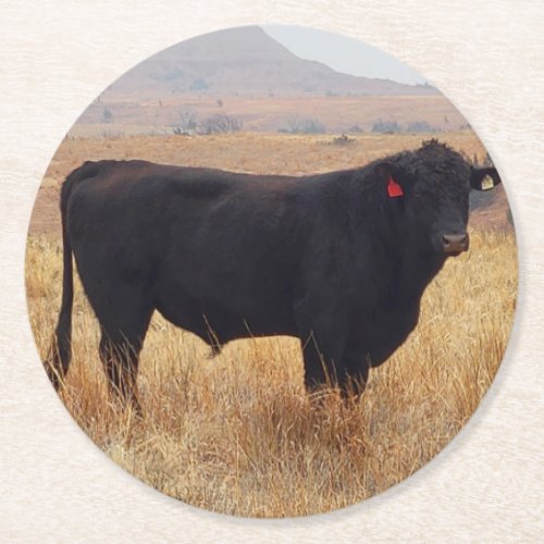 Black Angus Steer Grazing with its Herd Round Paper Coaster