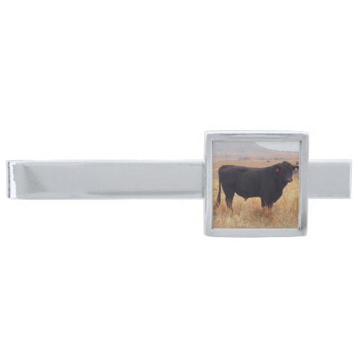 Black Angus Steer Grazing with its Herd Silver Finish Tie Bar