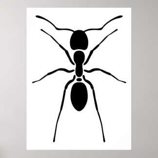 Black Ant Poster