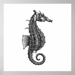 Black Antique Seahorse Scientific Illustration Poster