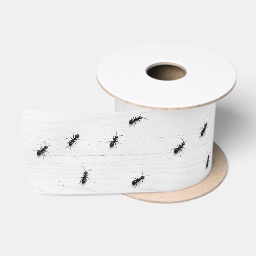 Black Ants on Whitewashed Wood Satin Ribbon