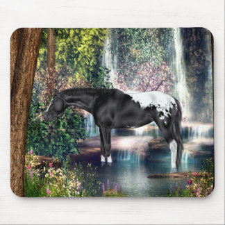 Black Appaloosa Horse Waterfall Background Mouse Pad