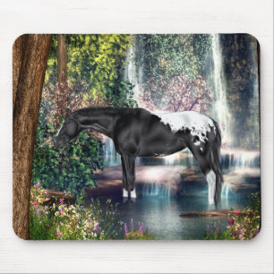 Black Appaloosa Horse Waterfall Equestrian Art Mouse Pad