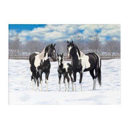 Black Appaloosa Horses In Snow Acrylic Wall Art