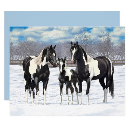 Black Appaloosa Horses In Snow Card